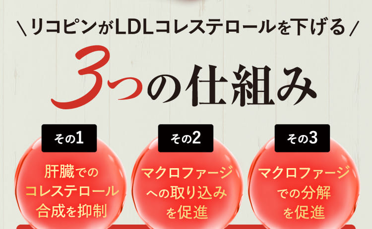 リコピンがLDLコレステロールを下げる3つの仕組み