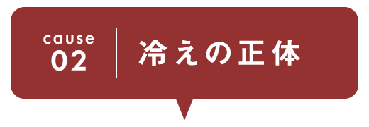 cause02 冷えの正体