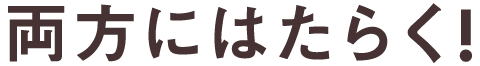 両方にはたらく！