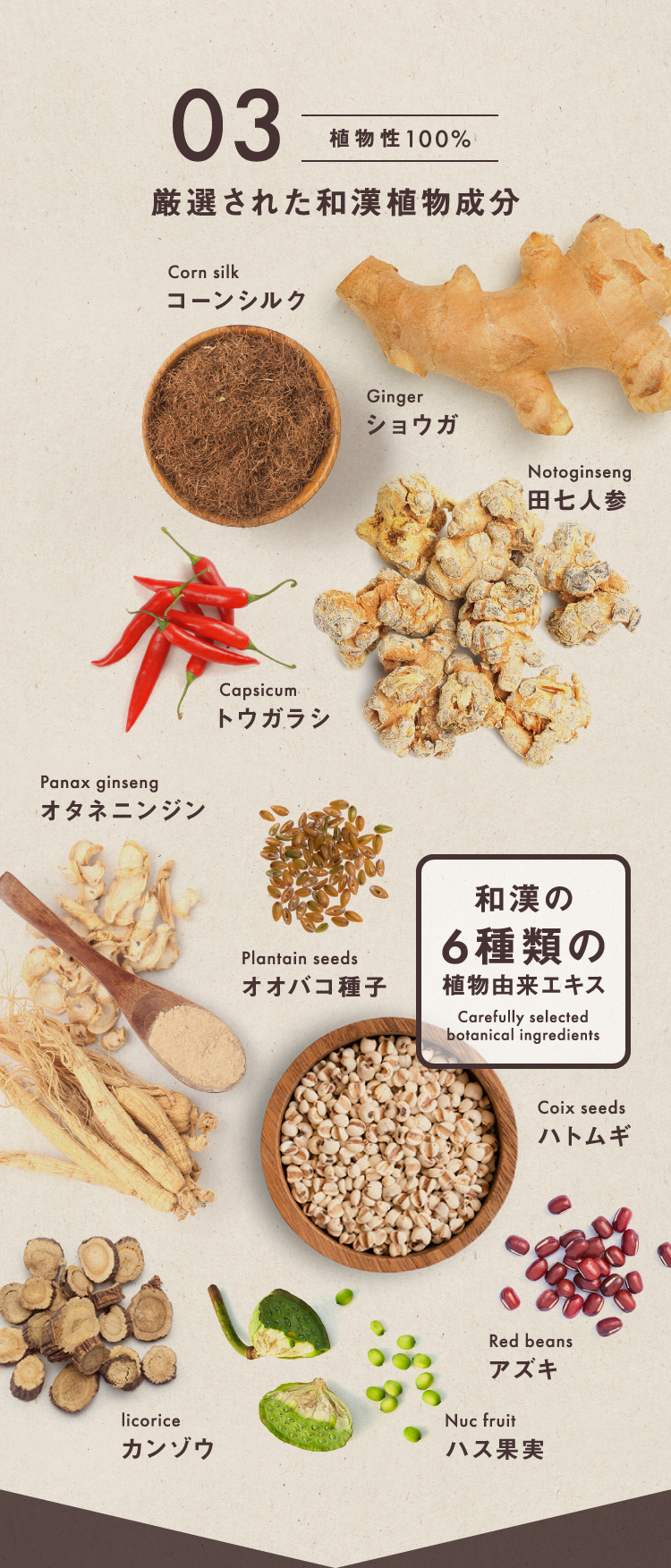 03 植物性100% 厳選された和漢植物成分